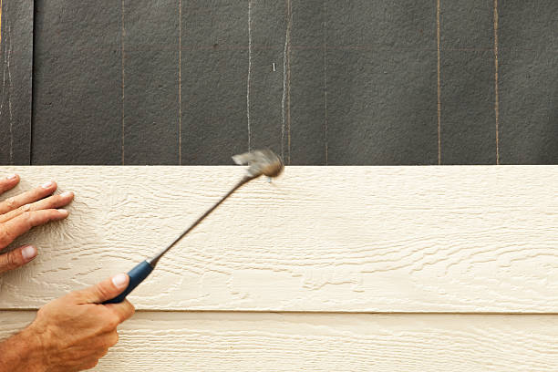 Best Steel Siding Installation  in Crimora, VA